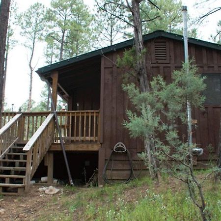 Beary Comfy Cabin Рюидозо Екстериор снимка
