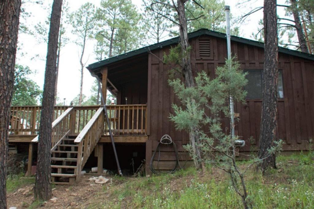 Beary Comfy Cabin Рюидозо Екстериор снимка